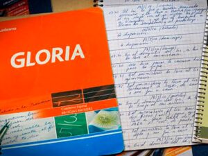 Causa de los cuadernos