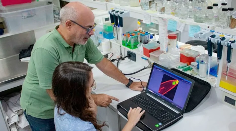 Gente trabajando, trabajo