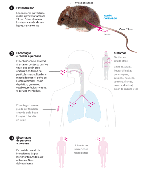 Foto: Gentileza La Nación