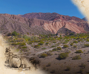 Ruta del vino Jujuy